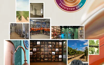 Mey|Diageo, ‘Ekosistem 2030’ hedeflerine kararlılıkla ilerliyor