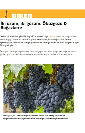 https://cdn.meydiageo.com/meyprepro/images/contents/dikencomtr-iki-uzum-iki-gozum-okuzgozu-and-bogazkere-hero-1697189626.jpg