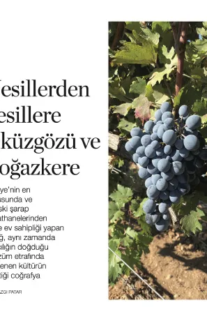 https://cdn.meydiageo.com/meyprepro/images/contents/food-and-travel-nesillerden-nesillere-okuzgozu-ve-bogazkere-hero-1698142028.jpg