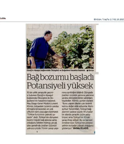 BirGün / Bağ bozumu başladı, potansiyeli yüksek
