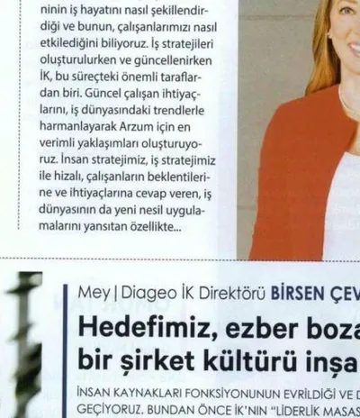 Business Life / İş Stratejilerinde IK Etkisi