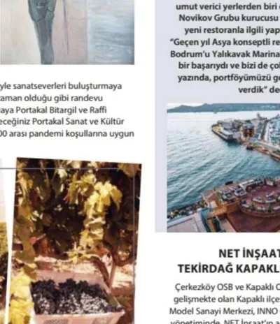 CEO Life / News & Life - Elazığ'da Bağ Bozumu Heyecanı