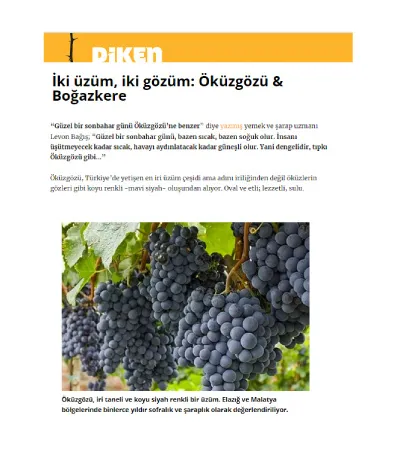 diken.com.tr / İki üzüm, iki gözüm: Öküzgözü & Boğazkere
