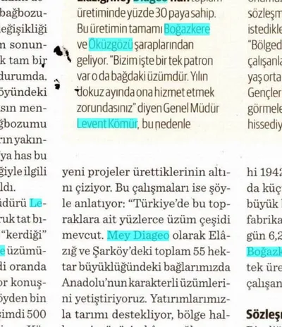 Dünya Gazetesi / Mezopotamya'nın Kadim Boğazkere Üzümü İklim Krizinde