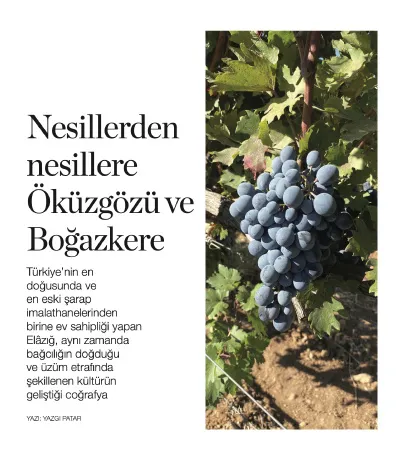 Food and Travel / Nesillerden Nesillere Öküzgözü ve Boğazkere