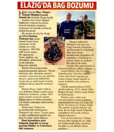 Hürriyet Kelebek / Elazığ'da Bağ Bozumu