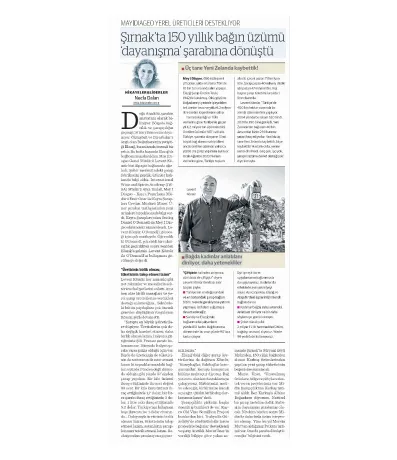 NB Ekonomi / Şırnak’ta 150 yıllık bağın üzümü ‘dayanışma’ şarabına dönüştü